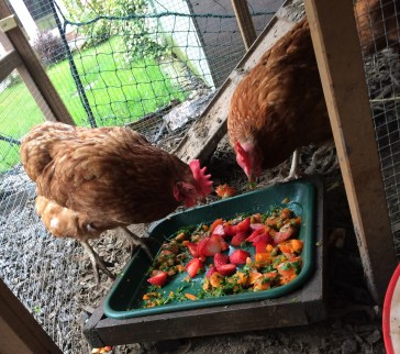 mindfulness-hens
